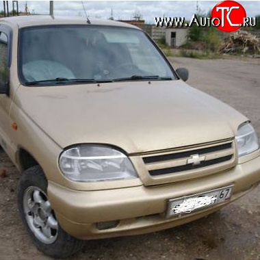 22 449 р. Капот Стандартный  Chevrolet Niva  2123 (2002-2020), Лада 2123 (Нива Шевроле) (2002-2021) (Окрашенная)  с доставкой в г. Москва