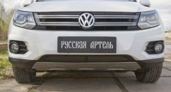 1 639 р. Защитная сетка решетки переднего бампера (Track & Field) РА Volkswagen Tiguan NF рестайлинг (2011-2017)  с доставкой в г. Москва. Увеличить фотографию 2