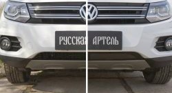 1 639 р. Защитная сетка решетки переднего бампера (Track & Field) РА Volkswagen Tiguan NF рестайлинг (2011-2017)  с доставкой в г. Москва. Увеличить фотографию 4